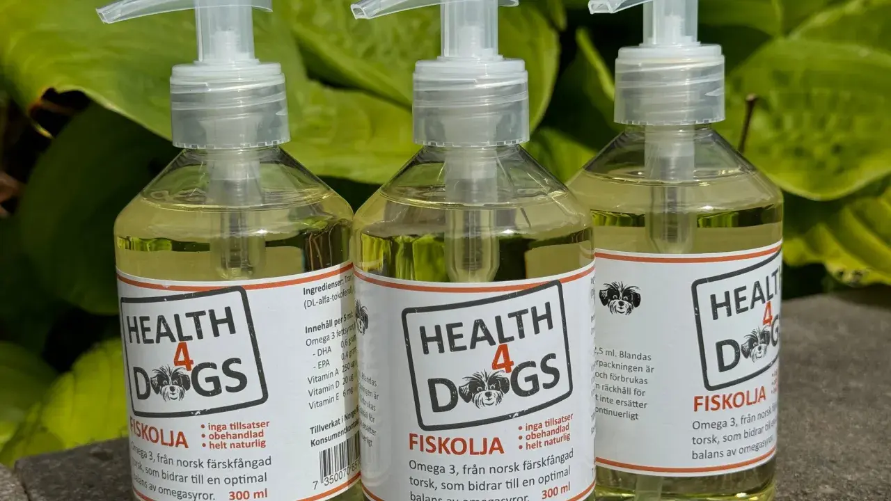 Tre flaskor med Health 4 Dogs fiskolja, en standardt fiskolja för hundar, står uppradade utomhus.