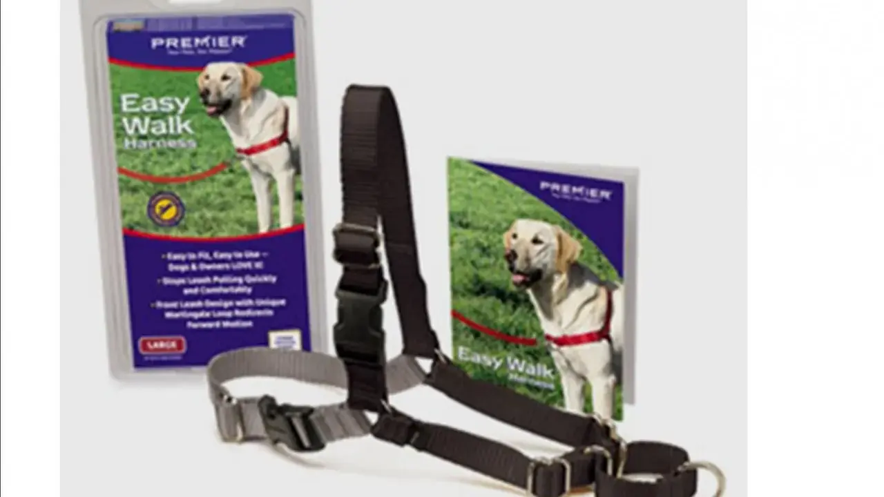 En hundsele och koppel från EzyDog. En gul labrador på förpackningen visar hur selen fungerar.