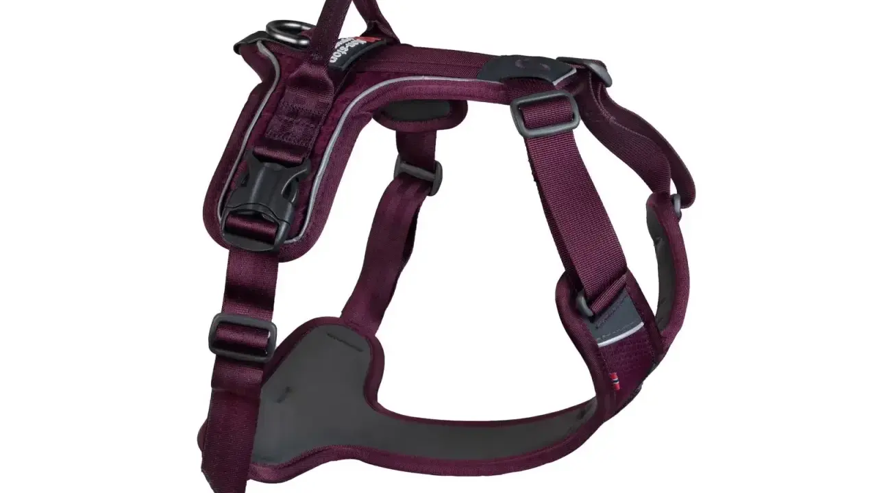En mörklila hundsele med reflexdetaljer, redo för promenader. Denna sele är ett utmärkt alternativ till ett rosa koppel för din fyrbenta vän.