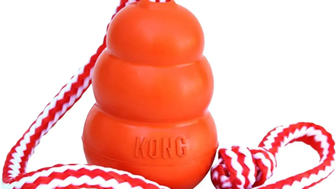 En orange Kong-leksak med rep, perfekt för lek och träning. Inte en kong frisbee, men lika rolig för hunden!
