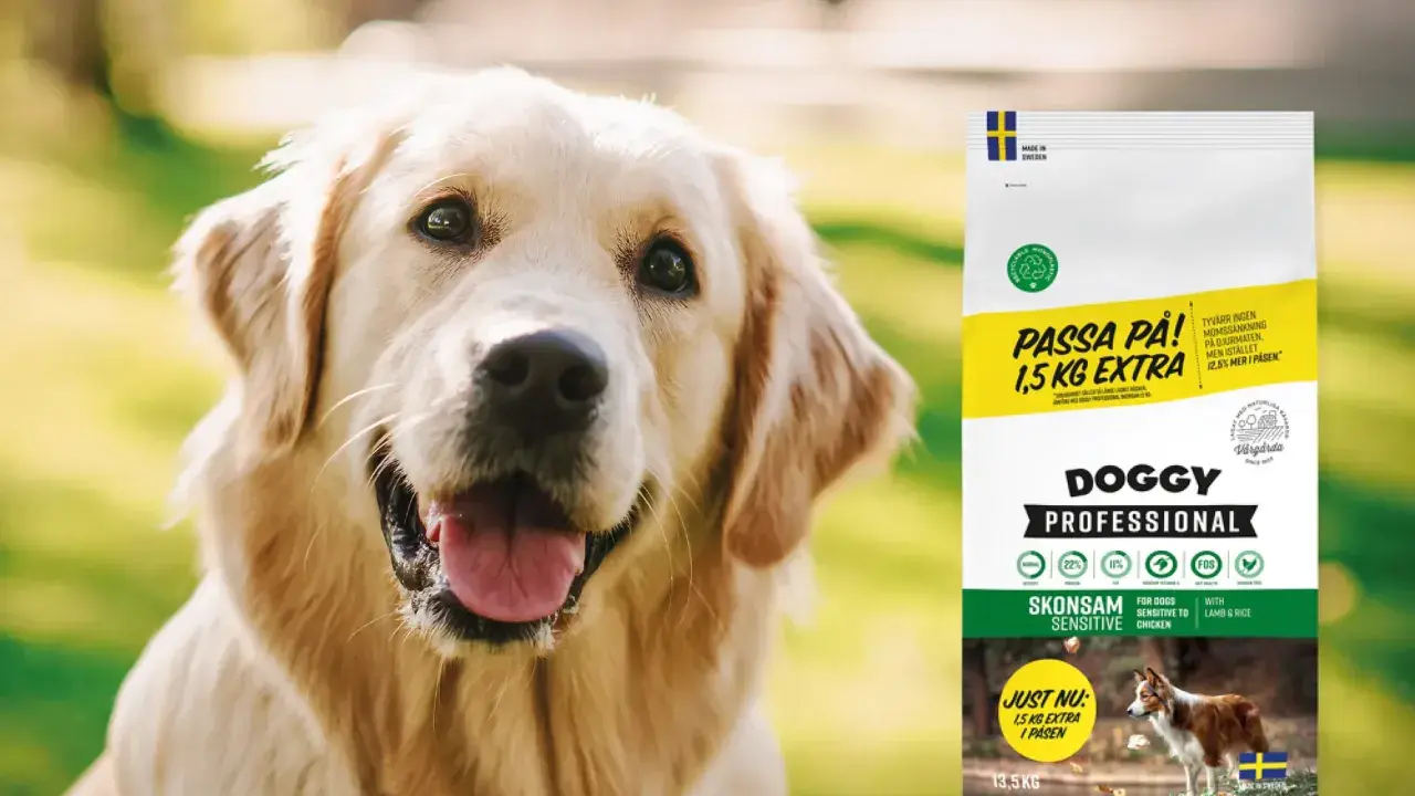 Glad golden retriever bredvid en påse Doggy Professional hundfoder med 1,5 kg extra.