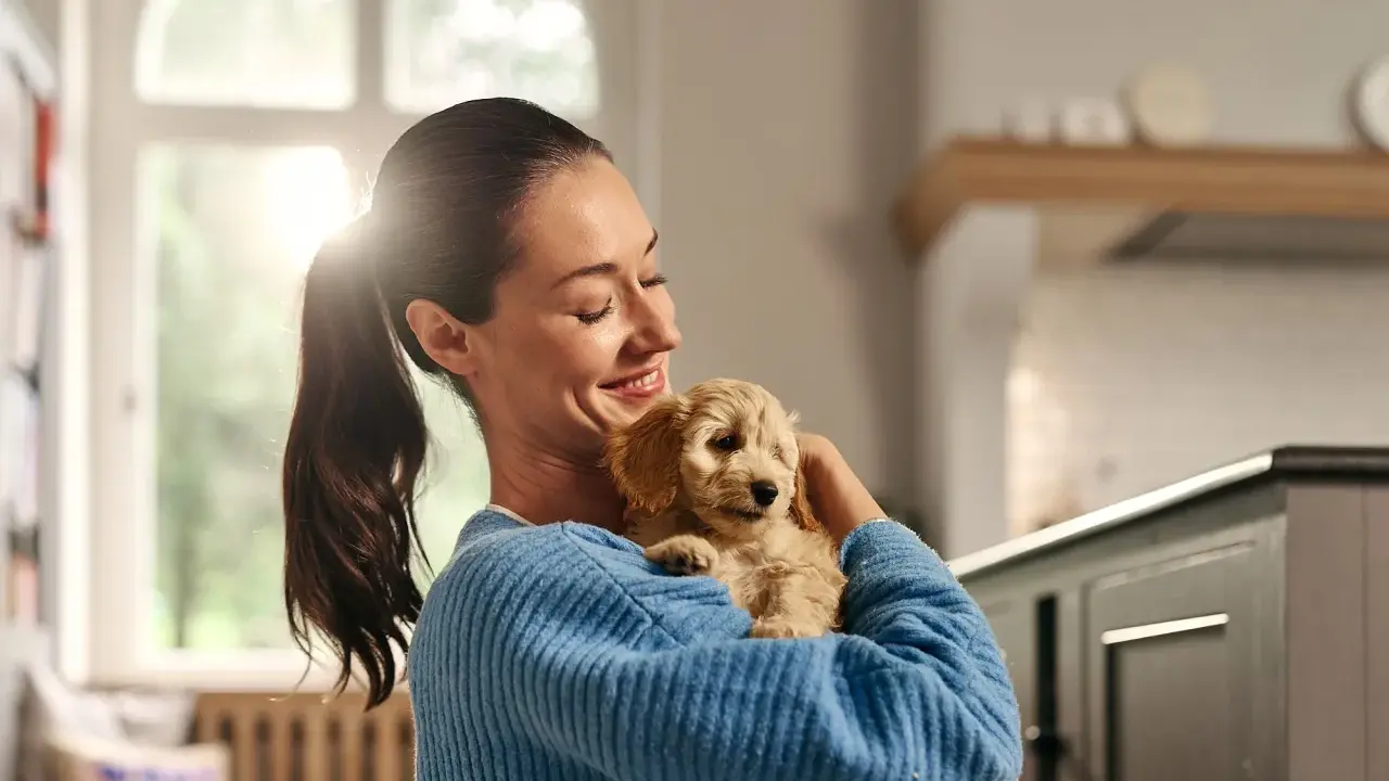 En kvinna håller en söt valp. Valpen ser ut som en liten, fluffig stjärna, en riktig boll av glädje.