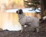 En brun-vit hund i en grå grisknorr-täcke står vid en sjö.