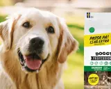 Glad golden retriever bredvid en påse Doggy Professional hundfoder med 1,5 kg extra.
