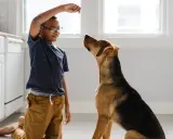 En pojke tränar sin hund, som sitter uppmärksamt och väntar på en godbit. Hundars beteende är fascinerande att observera.