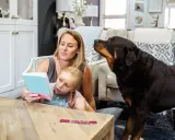 En rottweiler med ett lugnt rottweiler temperament lyssnar uppmärksamt när en mamma läser för sin dotter.
