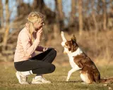 Kvinna tränar sin hund med mental träning. Hunden ger en tass och tittar uppmuntrande på sin ägare.