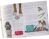 En hund med kroksvans och en puffin på en klippa. Texten handlar om hundens tassar och klor.