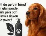 En vacker, glänsande päls för din hund, med rogz-produkter minskar du risken för tovor.