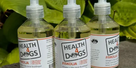 Tre flaskor med Health 4 Dogs fiskolja, en standardt fiskolja för hundar, står uppradade utomhus.