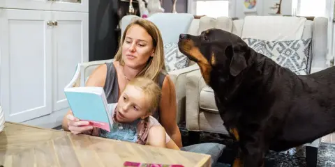 En rottweiler med ett lugnt rottweiler temperament lyssnar uppmärksamt när en mamma läser för sin dotter.