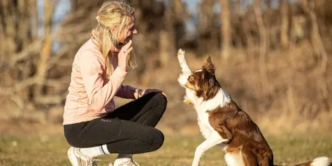 Kvinna tränar sin hund med mental träning. Hunden ger en tass och tittar uppmuntrande på sin ägare.