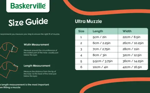Storleksguide för Baskerville Ultra Muzzle. Visar mått för längd och bredd för att hitta rätt passform.