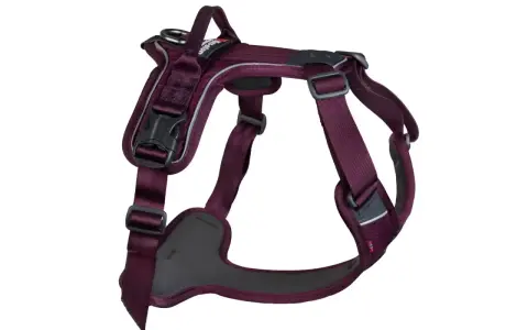 En mörklila hundsele med reflexdetaljer, redo för promenader. Denna sele är ett utmärkt alternativ till ett rosa koppel för din fyrbenta vän.