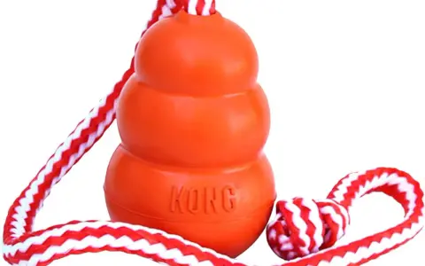En orange Kong-leksak med rep, perfekt för lek och träning. Inte en kong frisbee, men lika rolig för hunden!