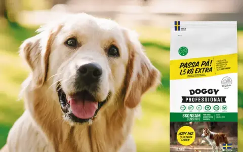 Glad golden retriever bredvid en påse Doggy Professional hundfoder med 1,5 kg extra.