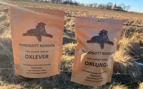 Två påsar med hundgodis, 100% svensk torkad nötlunga och oxlever, hänger på ett taggtrådsstängsel i ett soligt, torrt landskap.