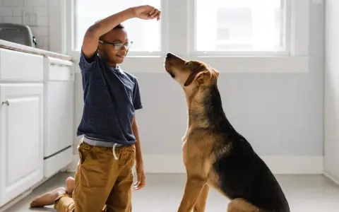 En pojke tränar sin hund, som sitter uppmärksamt och väntar på en godbit. Hundars beteende är fascinerande att observera.