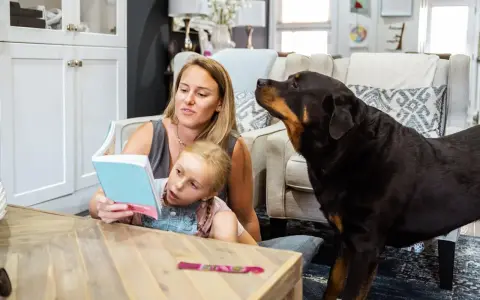 En rottweiler med ett lugnt rottweiler temperament lyssnar uppmärksamt när en mamma läser för sin dotter.