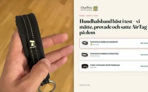 En hand håller ett vadderat dressyrhalsband med stopp för hund, märkt "Feel Active". Test av hundhalsband.