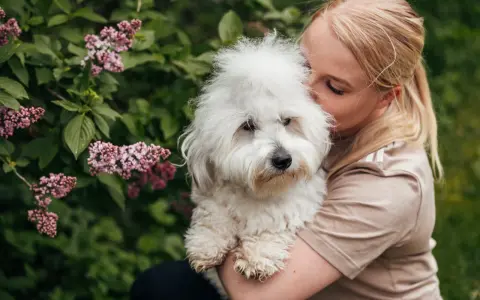En kvinna kramar sin fluffiga hund. Hundens vita päls är mjuk och fin, och man kan ana den friska huden under.
