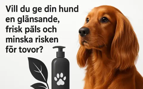 En vacker, glänsande päls för din hund, med rogz-produkter minskar du risken för tovor.