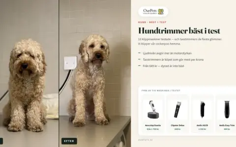 Före och efter-bild på en hund som blivit klippt med en moser klippmaskin. Texten beskriver hundtrimmer bäst i test.