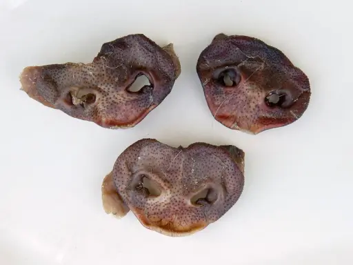 Torkade grisnäsor, perfekta att laga mat till hund. En naturlig och tuggvänlig godsak.