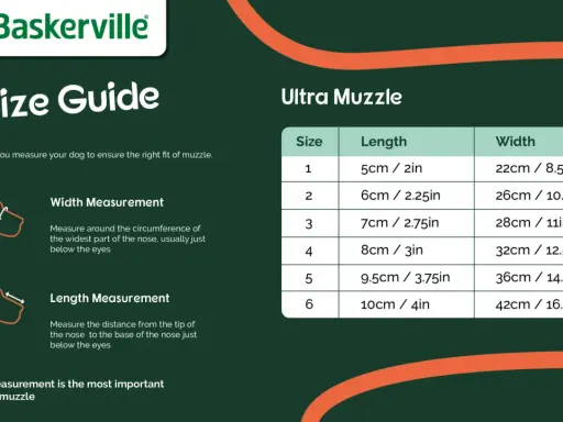 Storleksguide för Baskerville Ultra Muzzle. Visar mått för längd och bredd för att hitta rätt passform.