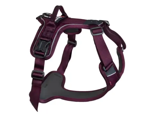 En mörklila hundsele med reflexdetaljer, redo för promenader. Denna sele är ett utmärkt alternativ till ett rosa koppel för din fyrbenta vän.