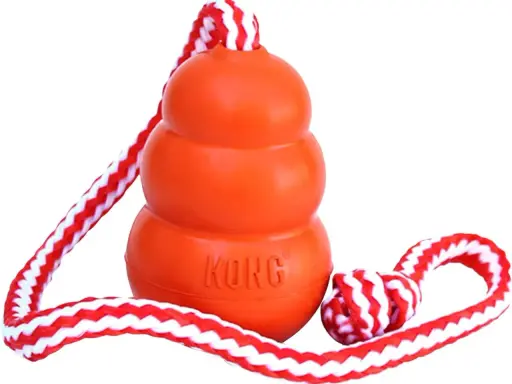 En orange Kong-leksak med rep, perfekt för lek och träning. Inte en kong frisbee, men lika rolig för hunden!