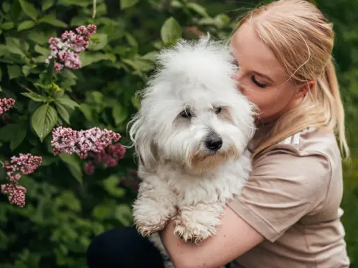 En kvinna kramar sin fluffiga hund. Hundens vita päls är mjuk och fin, och man kan ana den friska huden under.