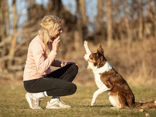 Kvinna tränar sin hund med mental träning. Hunden ger en tass och tittar uppmuntrande på sin ägare.