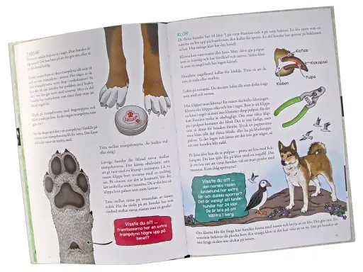 En hund med kroksvans och en puffin på en klippa. Texten handlar om hundens tassar och klor.