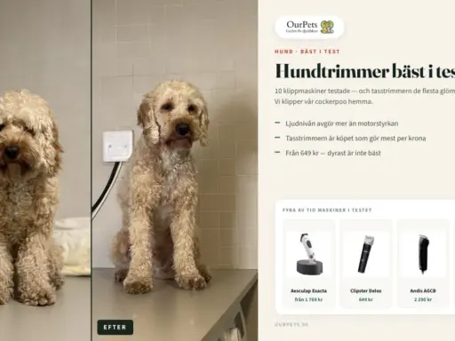 Före och efter-bild på en hund som blivit klippt med en moser klippmaskin. Texten beskriver hundtrimmer bäst i test.