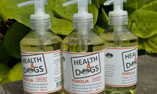 Tre flaskor med Health 4 Dogs fiskolja, en standardt fiskolja för hundar, står uppradade utomhus.