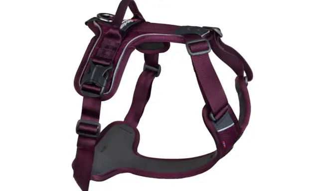 En mörklila hundsele med reflexdetaljer, redo för promenader. Denna sele är ett utmärkt alternativ till ett rosa koppel för din fyrbenta vän.