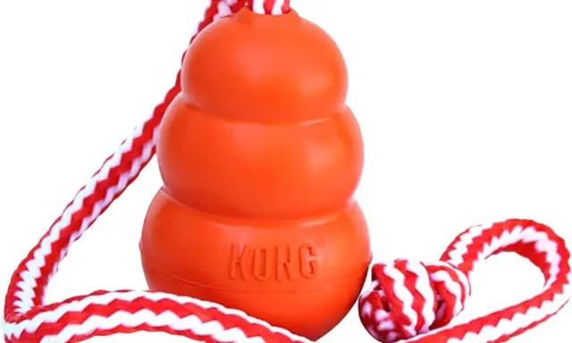 En orange Kong-leksak med rep, perfekt för lek och träning. Inte en kong frisbee, men lika rolig för hunden!