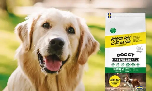 Glad golden retriever bredvid en påse Doggy Professional hundfoder med 1,5 kg extra.