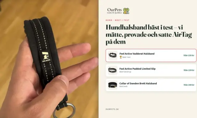 En hand håller ett vadderat dressyrhalsband med stopp för hund, märkt "Feel Active". Test av hundhalsband.