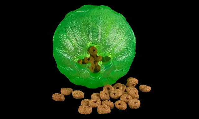 En grön, knottrig leksak med hål där hundgodis sticker ut. En hög med hundgodis ligger framför. En riktig funball för din hund!
