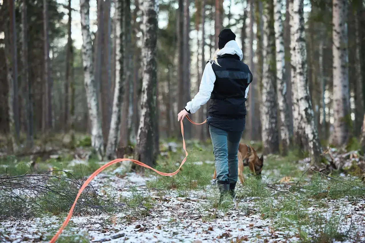 En person g&aring;r med en l&aring;nglina hund i en sn&ouml;t&auml;ckt skog.