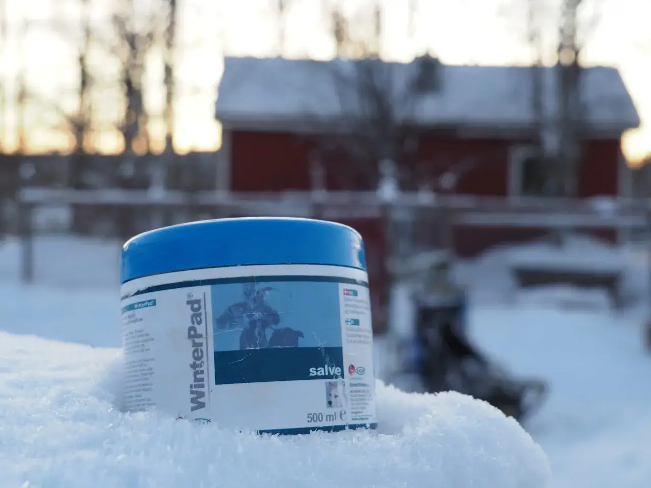 En burk WinterPad salve f&ouml;r hundtassar ligger i sn&ouml;n. Perfekt f&ouml;r att skydda din hunds tassar under vintern.