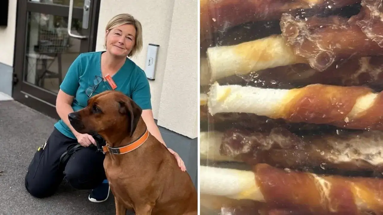 En kvinna med en hund bredvid sig. Till h&ouml;ger syns en n&auml;rbild p&aring; rauh &auml;lgchips, hundgodis som ser ut att vara gjorda av torkat k&ouml;tt.