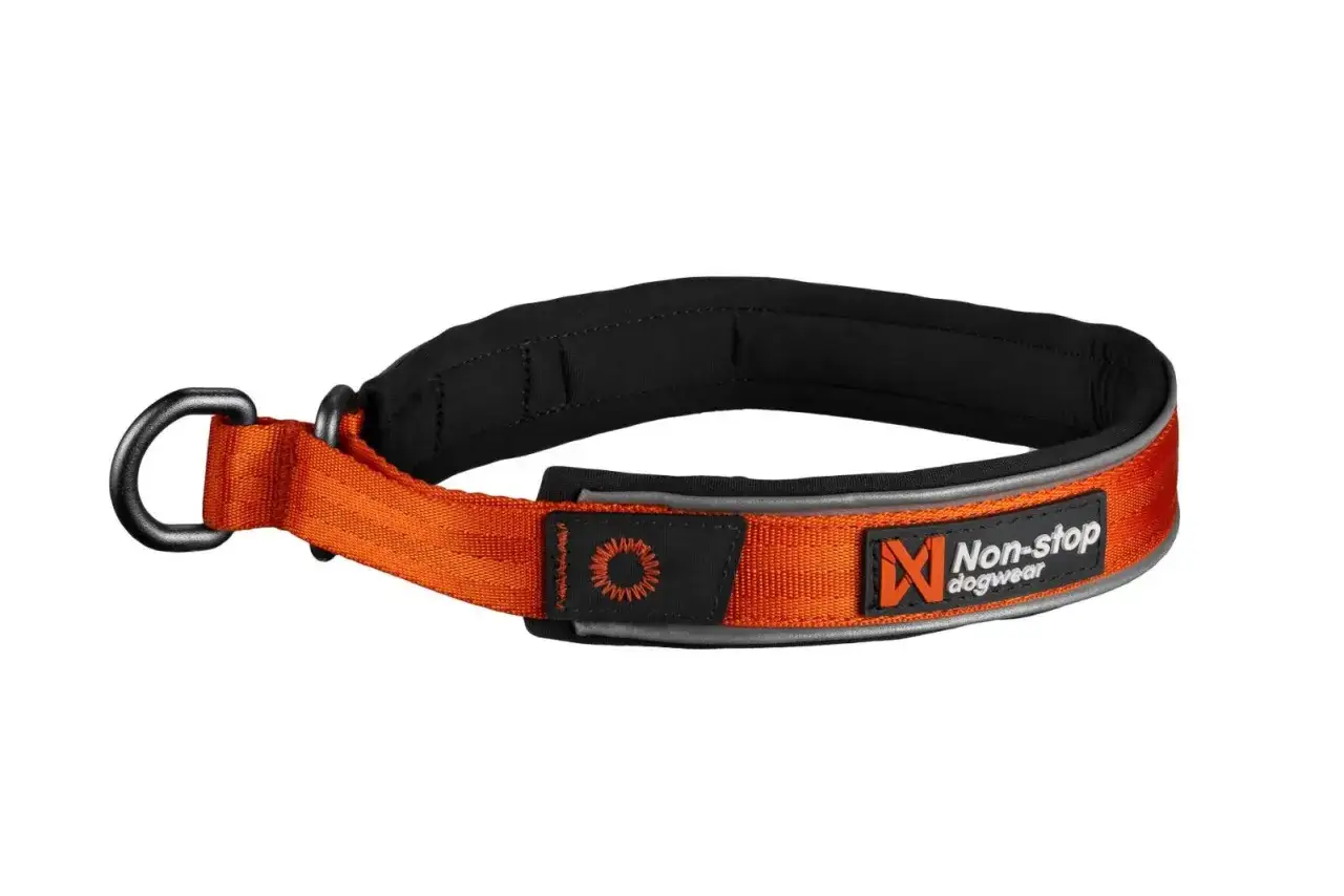 Orange dressyrhalsband med stopp f&ouml;r hund, med D-ring och reflexdetaljer. Perfekt f&ouml;r tr&auml;ning och promenader.