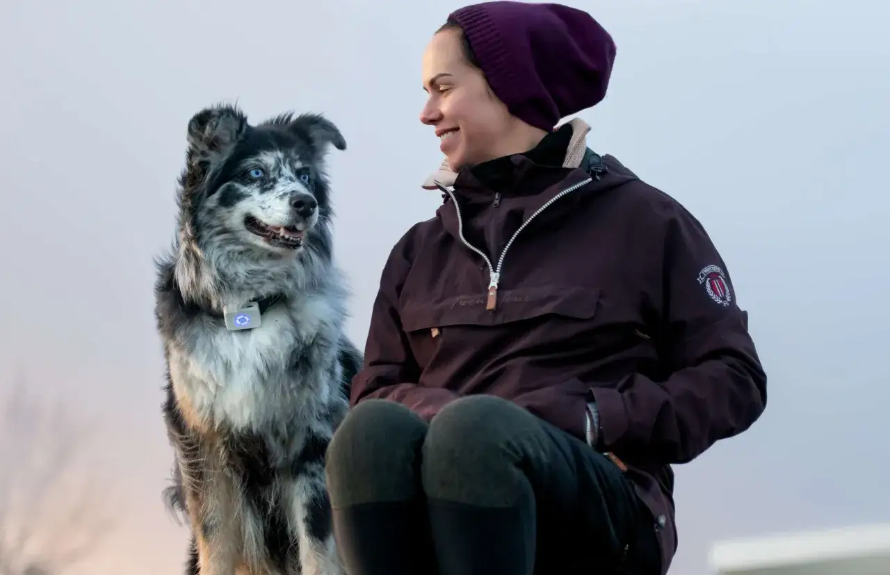 En kvinna ler mot sin border collie, vars intelligenta blick och alerta h&aring;llning visar dess typiska border collie temperament.