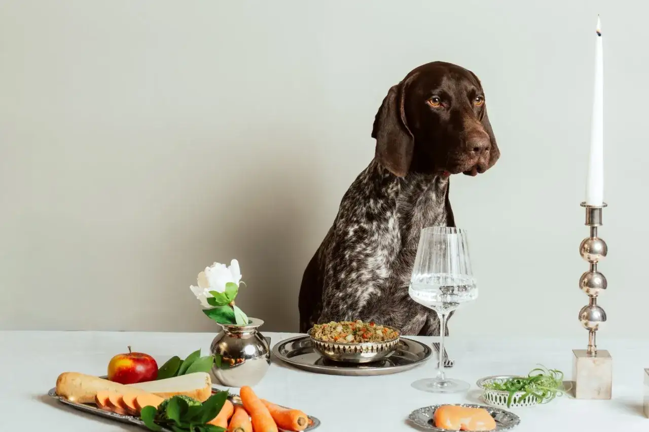 En brun hund sitter vid ett dukat bord med gr&ouml;nsaker, en sk&aring;l med sundhundmat och ett glas vatten.